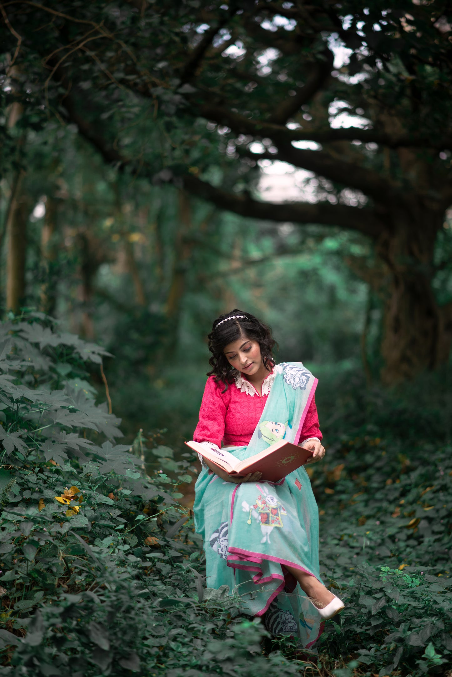 ALICE IN WONDERLAND SAREE