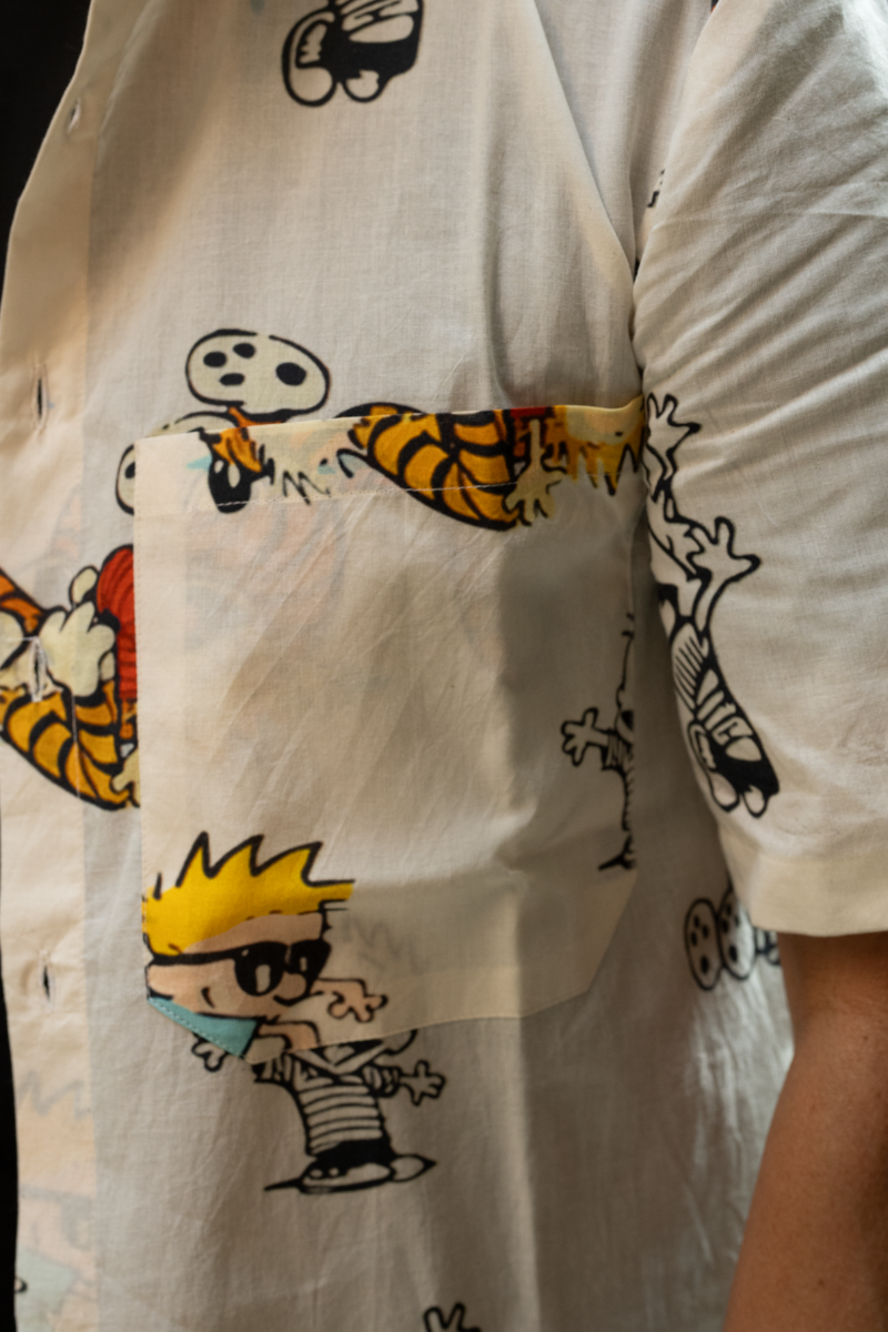 CALVIN AND HOBBES