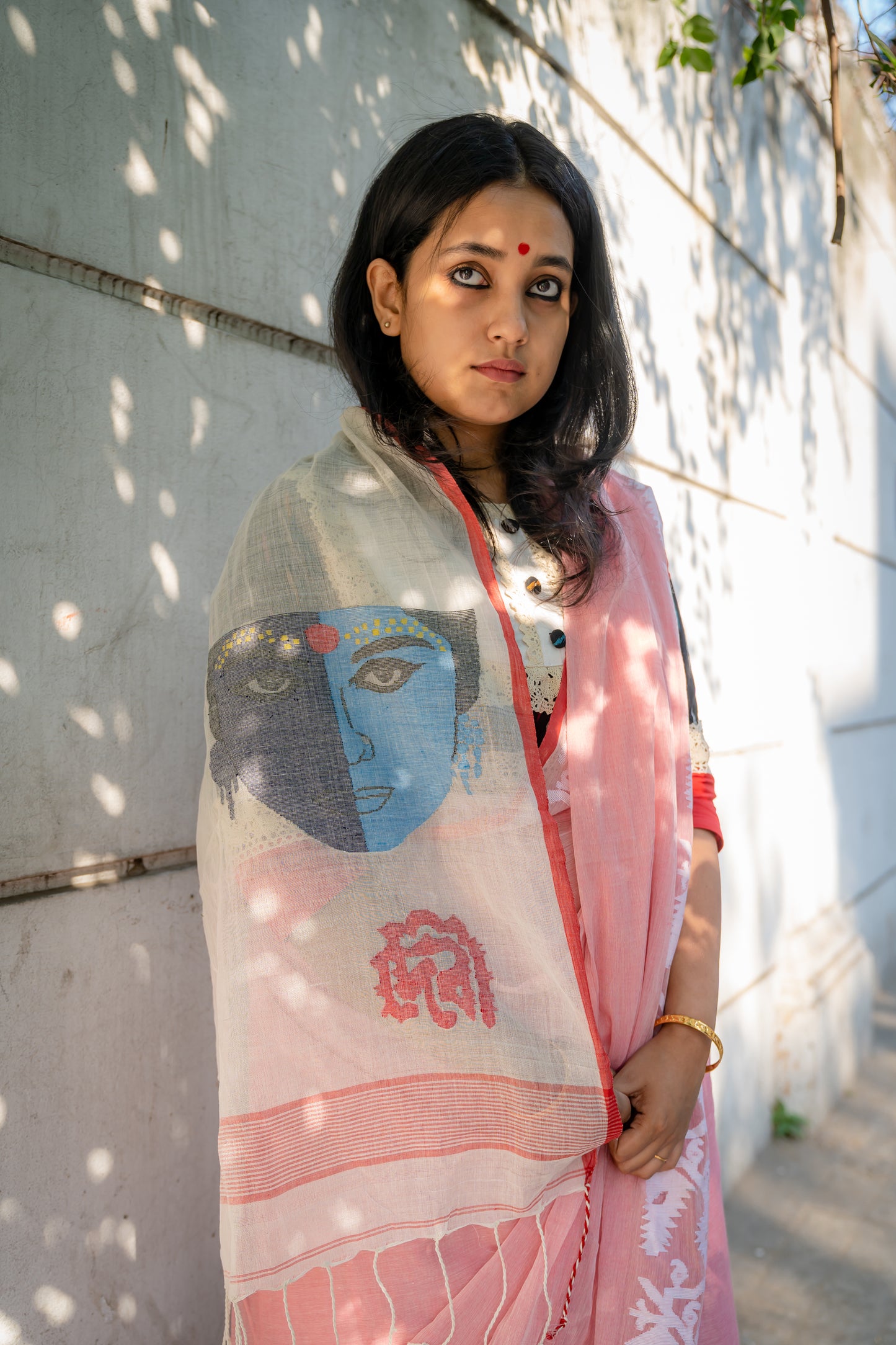 RAY CENTENARY POSTER SAREE