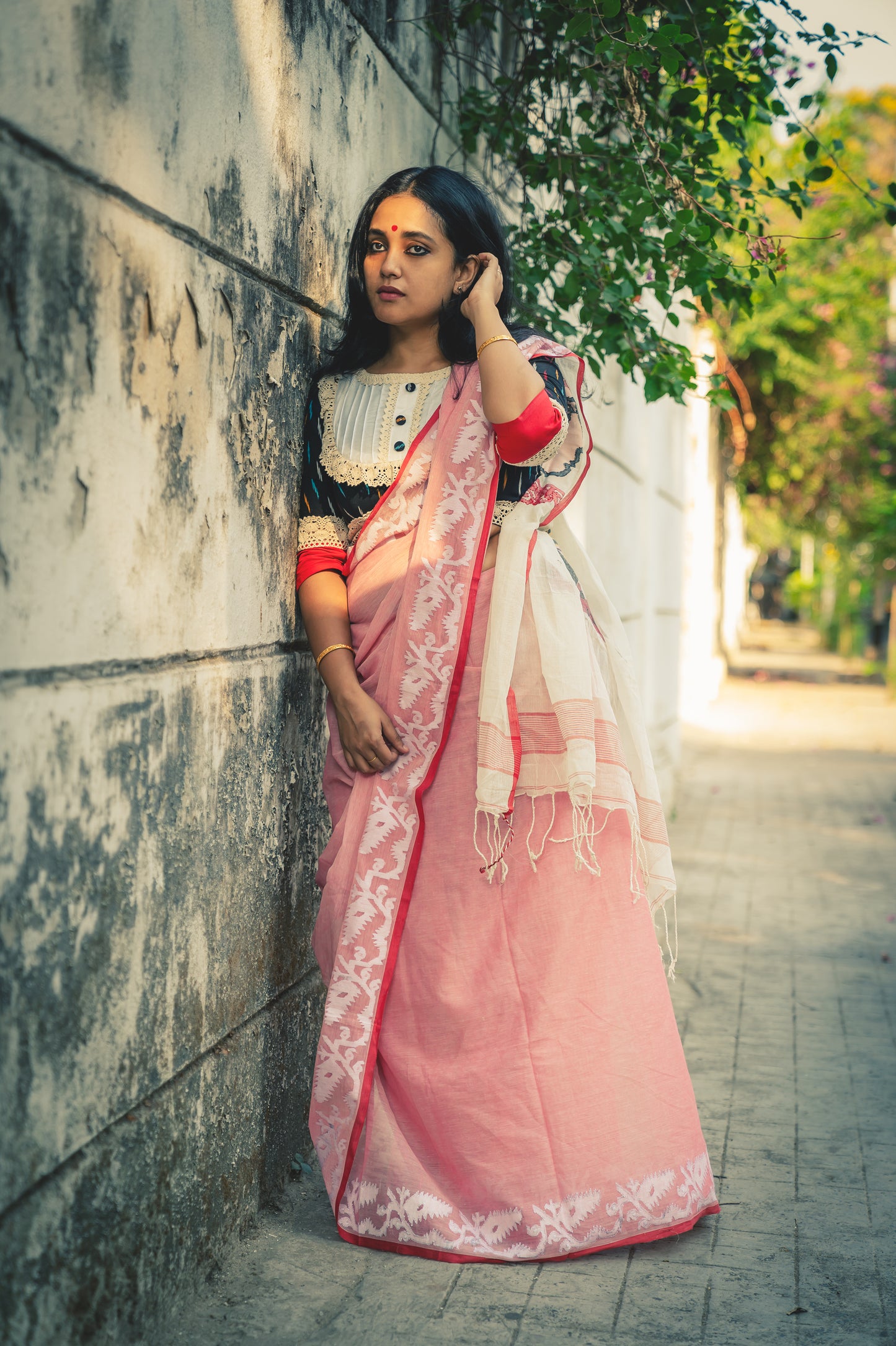 RAY CENTENARY POSTER SAREE