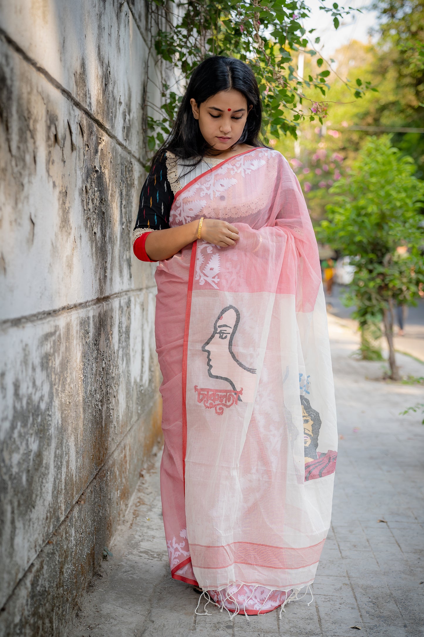 RAY CENTENARY POSTER SAREE