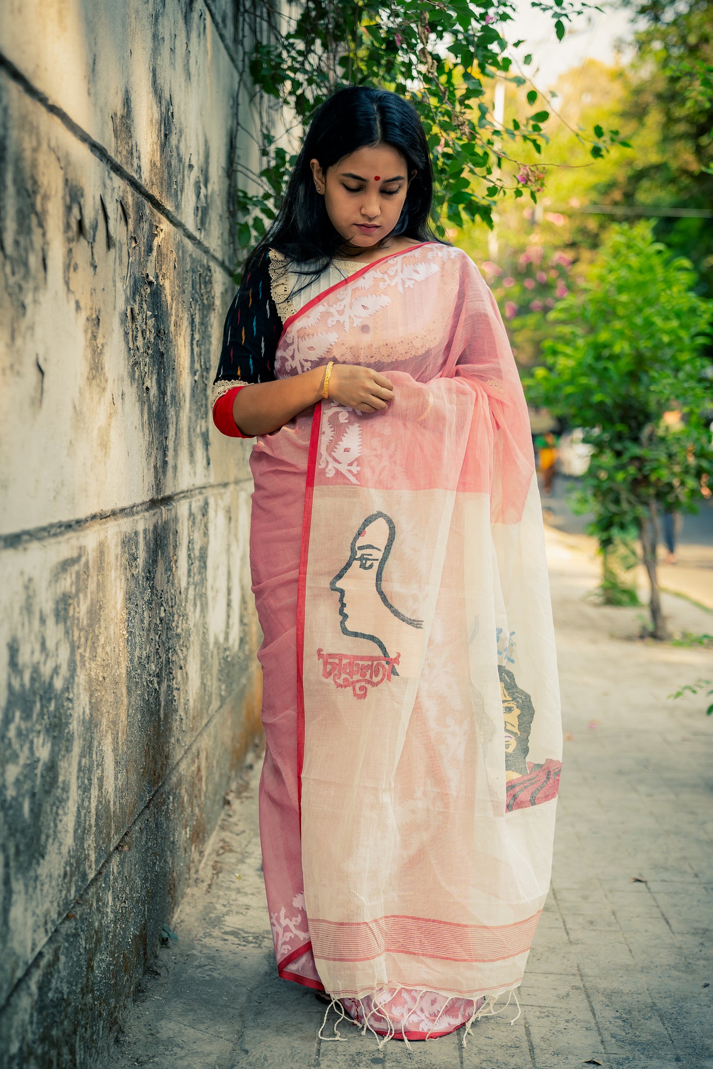 RAY CENTENARY POSTER SAREE