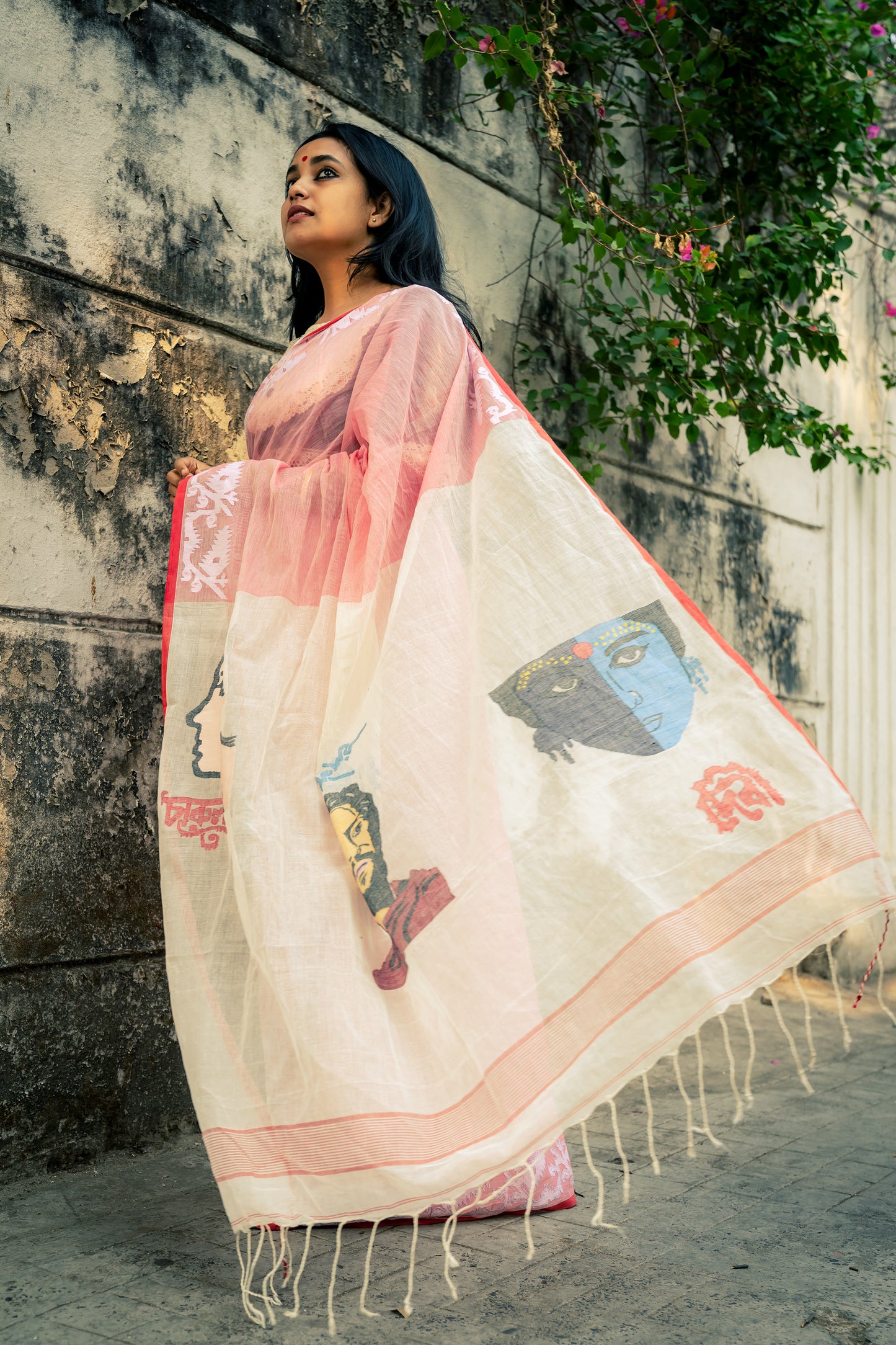 RAY CENTENARY POSTER SAREE