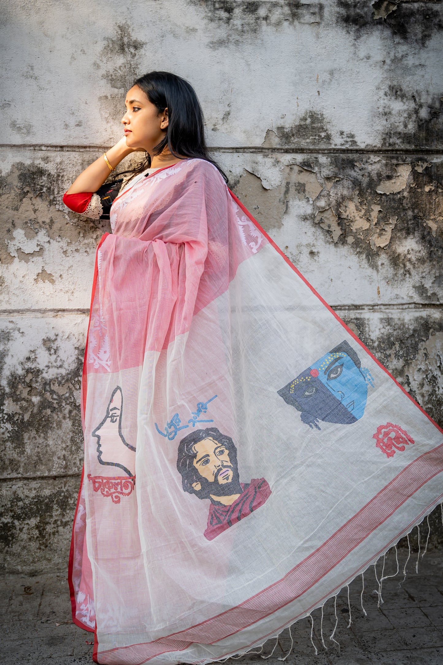 RAY CENTENARY POSTER SAREE