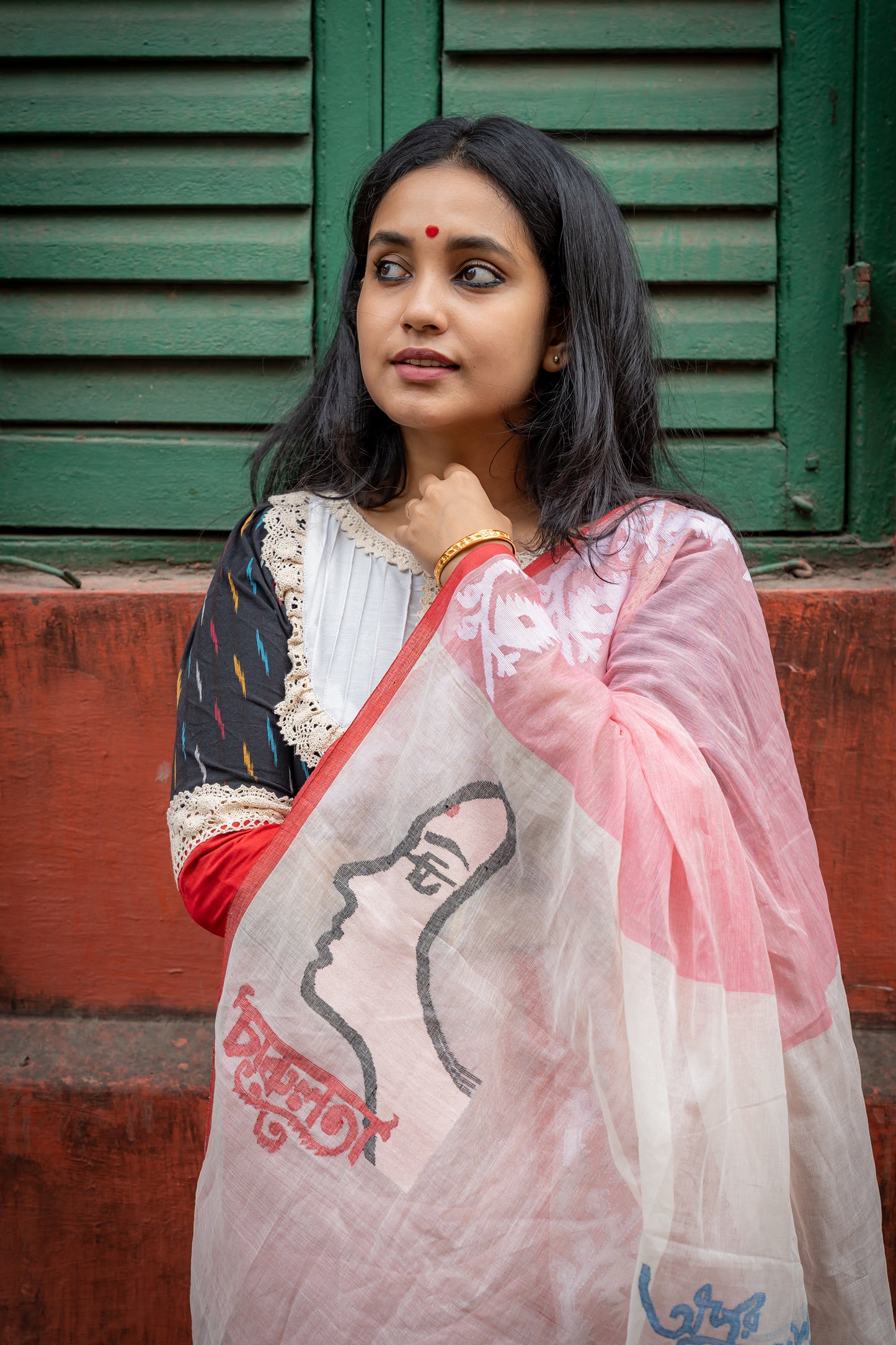 RAY CENTENARY POSTER SAREE