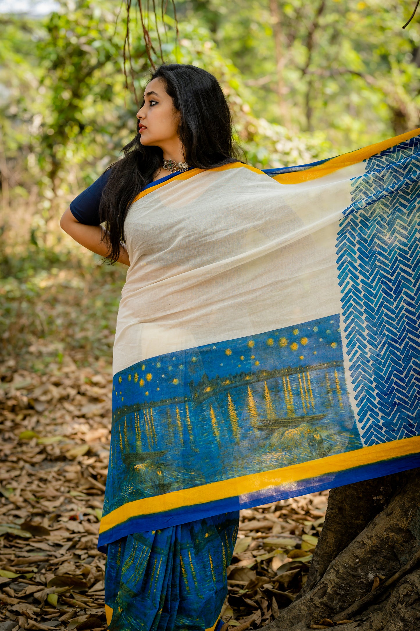 STARRY NIGHT ON RHONE